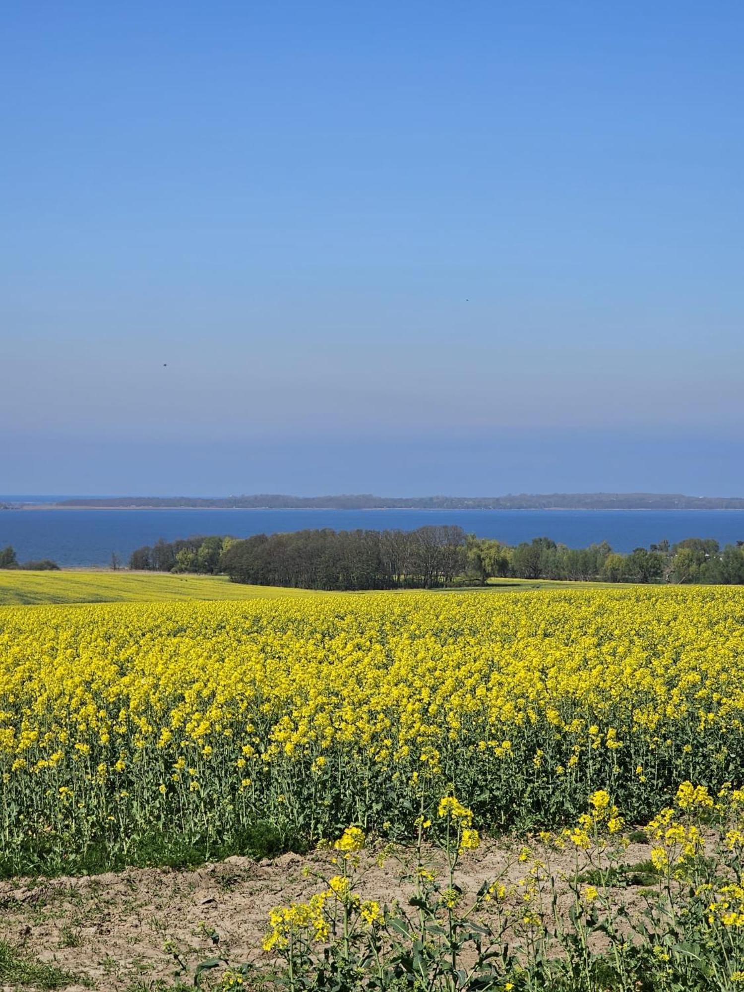 Ferienhaus - 135 Qm - Naehe Insel Poel Ostsee Damekow Esterno foto