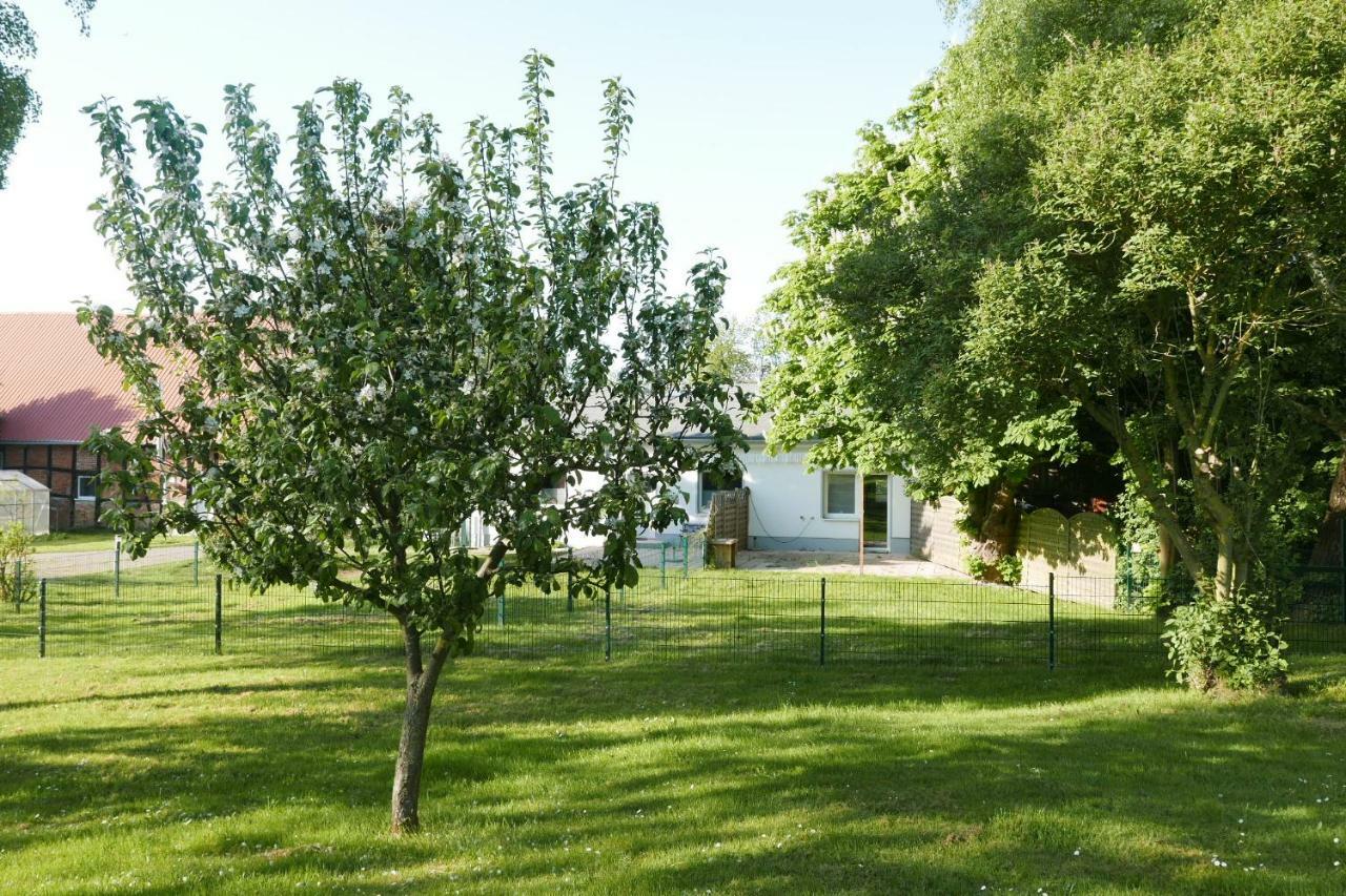 Ferienhaus - 135 Qm - Naehe Insel Poel Ostsee Damekow Esterno foto